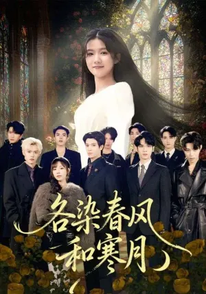 理论片在线线看手机版