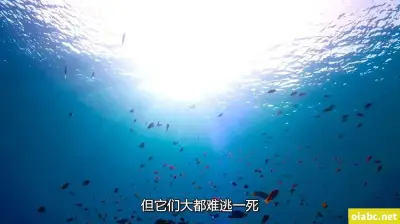 免费看男生干女生的软件剧照1