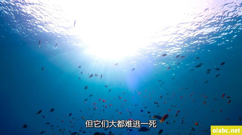 我真不是盖世高人免费阅读剧照3
